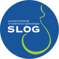 logo-slog